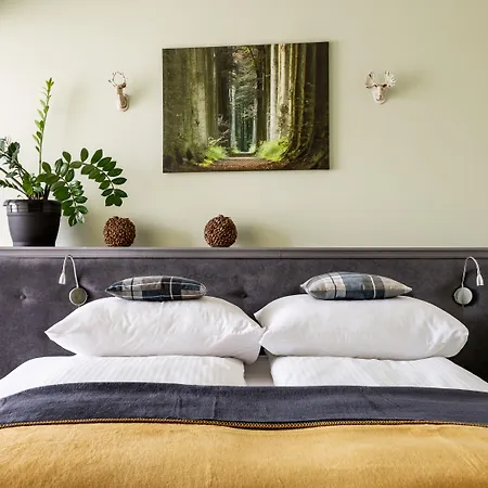 Folk Art & Spa Krupowki 25 Zakopane